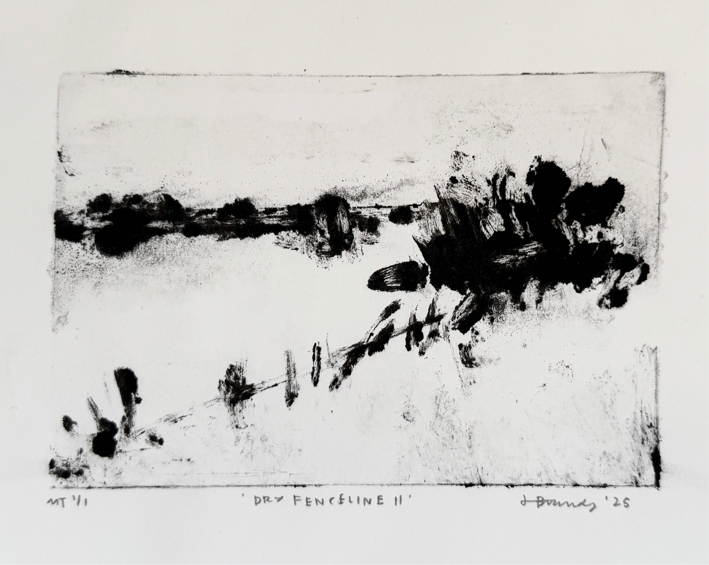 Dry Fenceline II