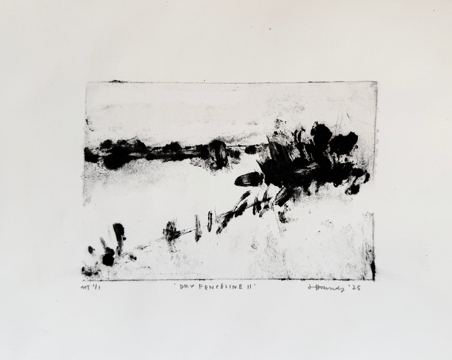 Dry Fenceline II