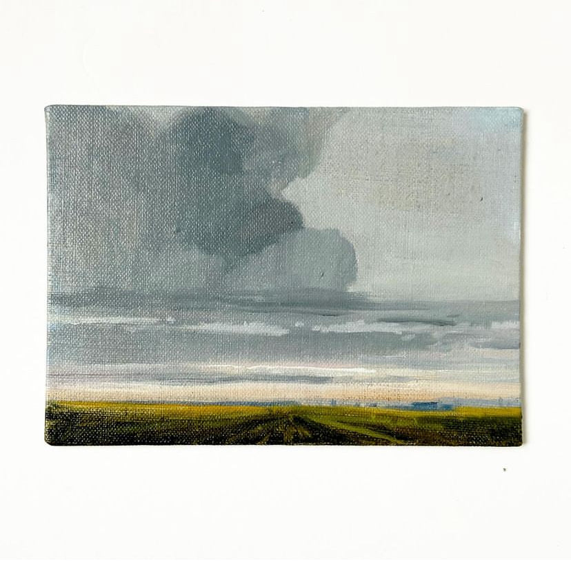 Distant Safflowers • oil on linen panel 5x7”