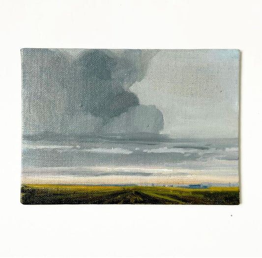 Distant Safflowers • oil on linen panel 5x7”