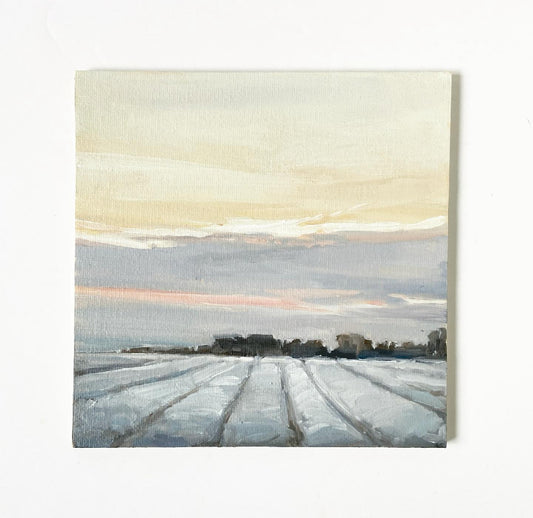 Frosted Field (Again) • original oil on flat panel 6x6”